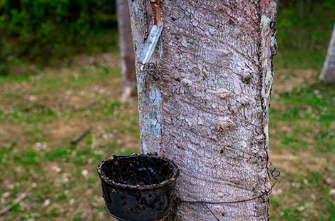 Cuting-edge Technology